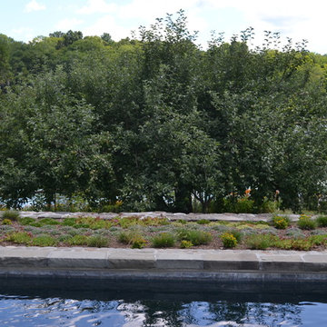 Sustainable Poolscape