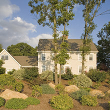 front yard