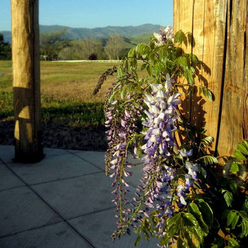 Santa Ynez Organic Ranch