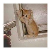 Aaron Cass's photo