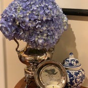 Foto von sullmom3