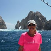 Terri Young's photo