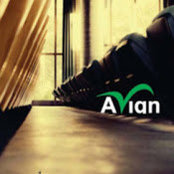 design avian2s foto