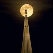 Amy Anderson's photo