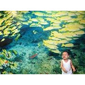 Rio Mercado's photo