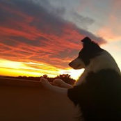 Sue Kim's photo