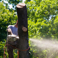 Berrys Tree Service LLC