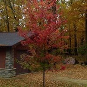 Foto von Patty Smith Harrell