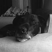 Marc Hochman's photo