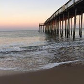 Susan Drew's photo