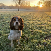 Kate Fitzpatrick's photo