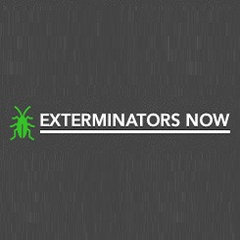 Exterminators Now