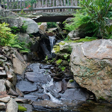 Water features