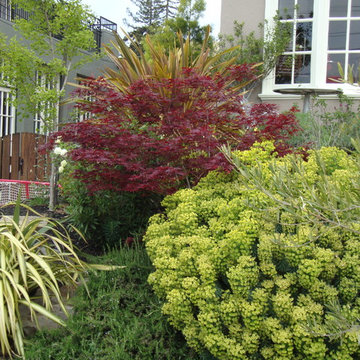 Deer Resistant Gardens