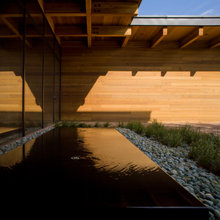 Courtyard/Garden