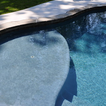 Lazy River Pool with Raised Spa and Dive Rock