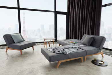 Sleeper Sofas