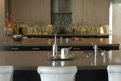 Inspiration for a contemporary kitchen remodel in Other