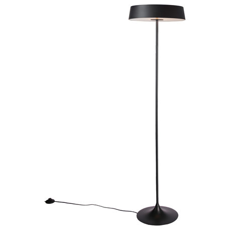 China LED Floor Lamp, Oil Bronze