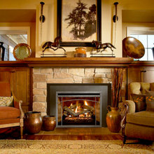 Gas Fireplace Inserts