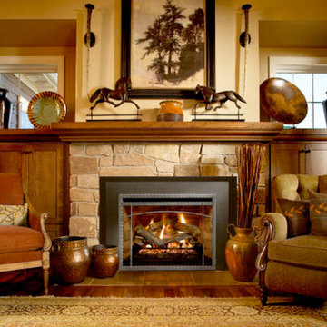 Gas Fireplace Inserts