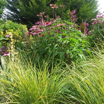 Beautiful borders
