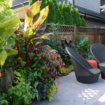 Poolside Garden and Containers