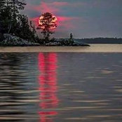 Patricia Davidson's photo