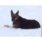 Sally Giittinger's photo