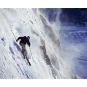 Michael Cadra's photo