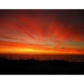 Abigail Velasco's photo
