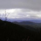 Sharon Draeger's photo