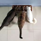 Fadh Zie's photo
