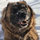selvia_abdalla62