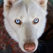 Griffin Marsh's photo