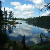 Matthew Lown's photo