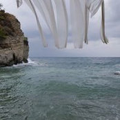 Sacha Ellis's photo