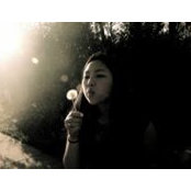 Photo de DaSol Yang