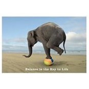 Sarah MH's photo
