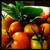 Poco Pomodoro's photo