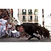 Ammar Akhtar's photo