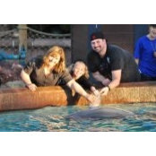 Foto von Andrea Brady
