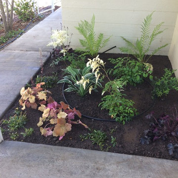 Residence 4