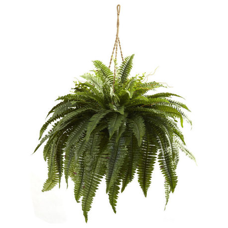 Double Giant Boston Fern Hanging Basket, Green