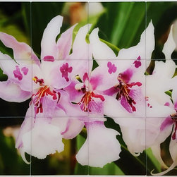 Kitchen Backsplash Tile Murals - Prints And Posters