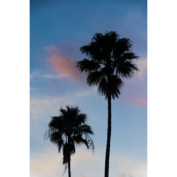 Palm Tree Silhouettes on Blue Sky Tropical Botanical Unframed Wall Art Print, 8" X 10"