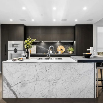 Kitchen Renovation Vancouver, Quebeck street