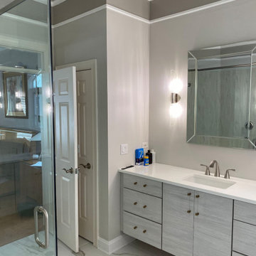 Master Bathroom Remodel