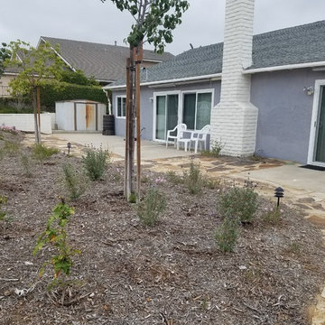 Mission Viejo Back Yard