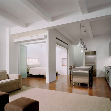 Flatiron Loft Apartment